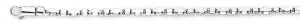 2.6mm Poster Chain Necklace