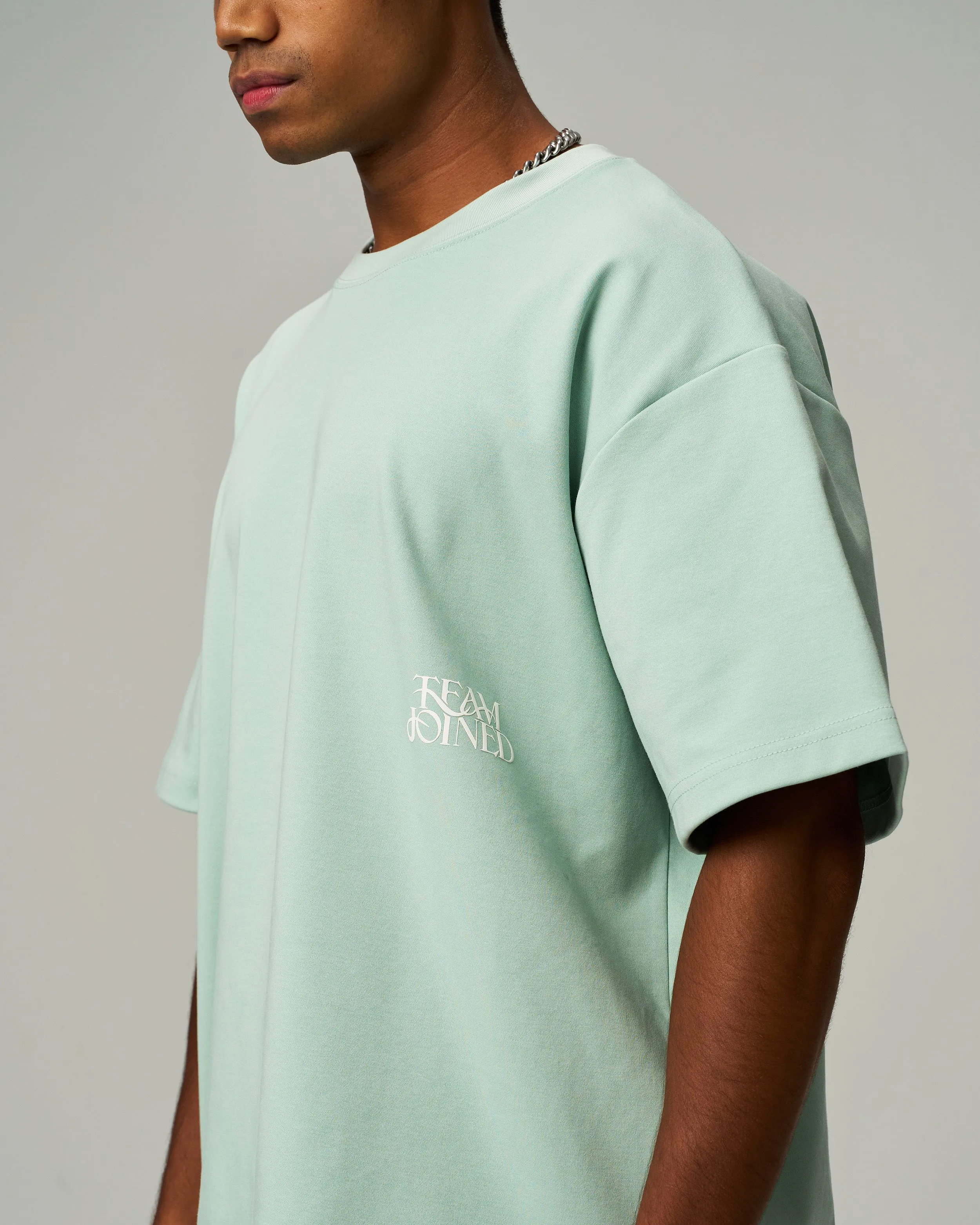 Aura Flock Logo Oversized