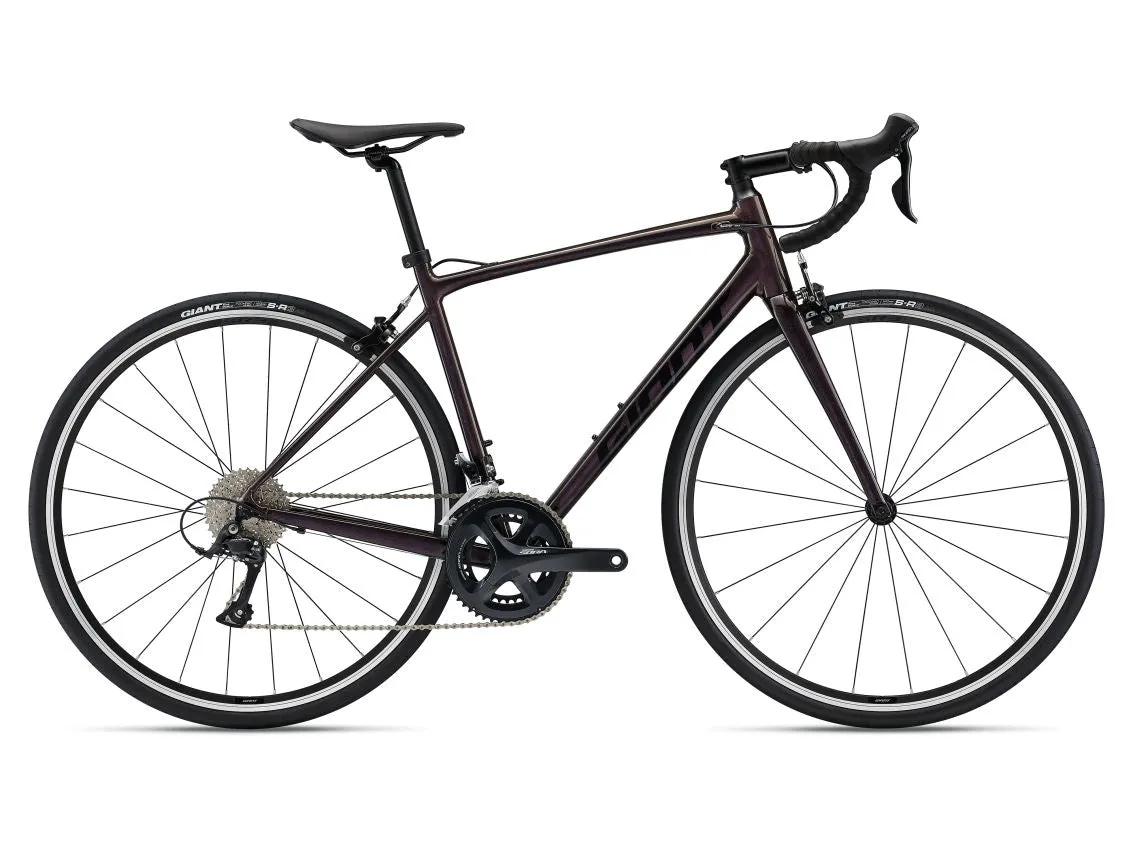 Giant Contend 1 (M/L)