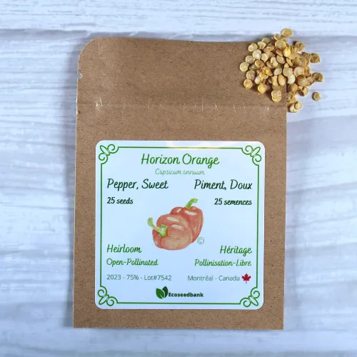 Horizon Orange Sweet Pepper Seeds