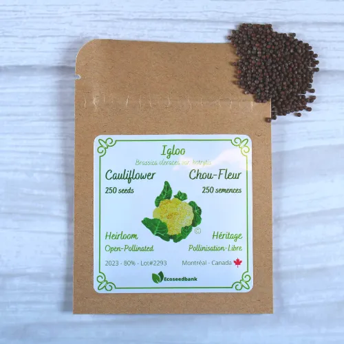 Igloo Cauliflower Seeds
