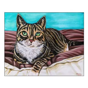 Kaleidoscope Comfy Cat