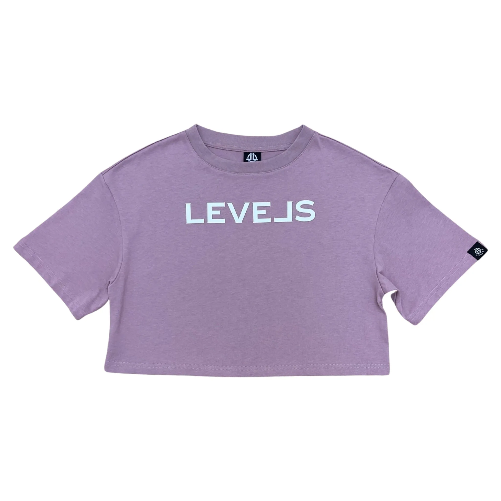 LEVELS OVERSIZED CROP TEE | BLUSH