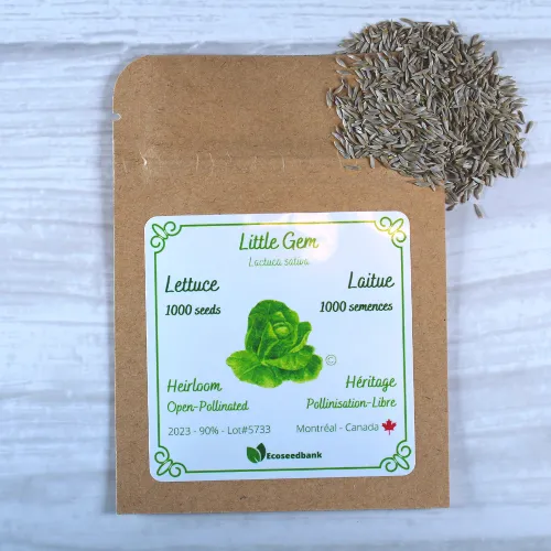 Little Gem Lettuce Seeds