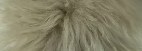 Long Wool Linen Rug - Auskin