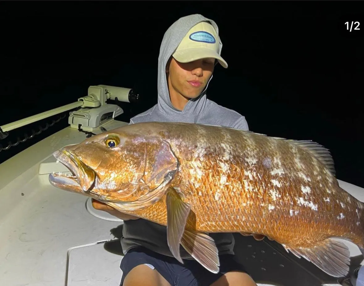 Miami Evening / Tarpon and Snook Fishing Charter