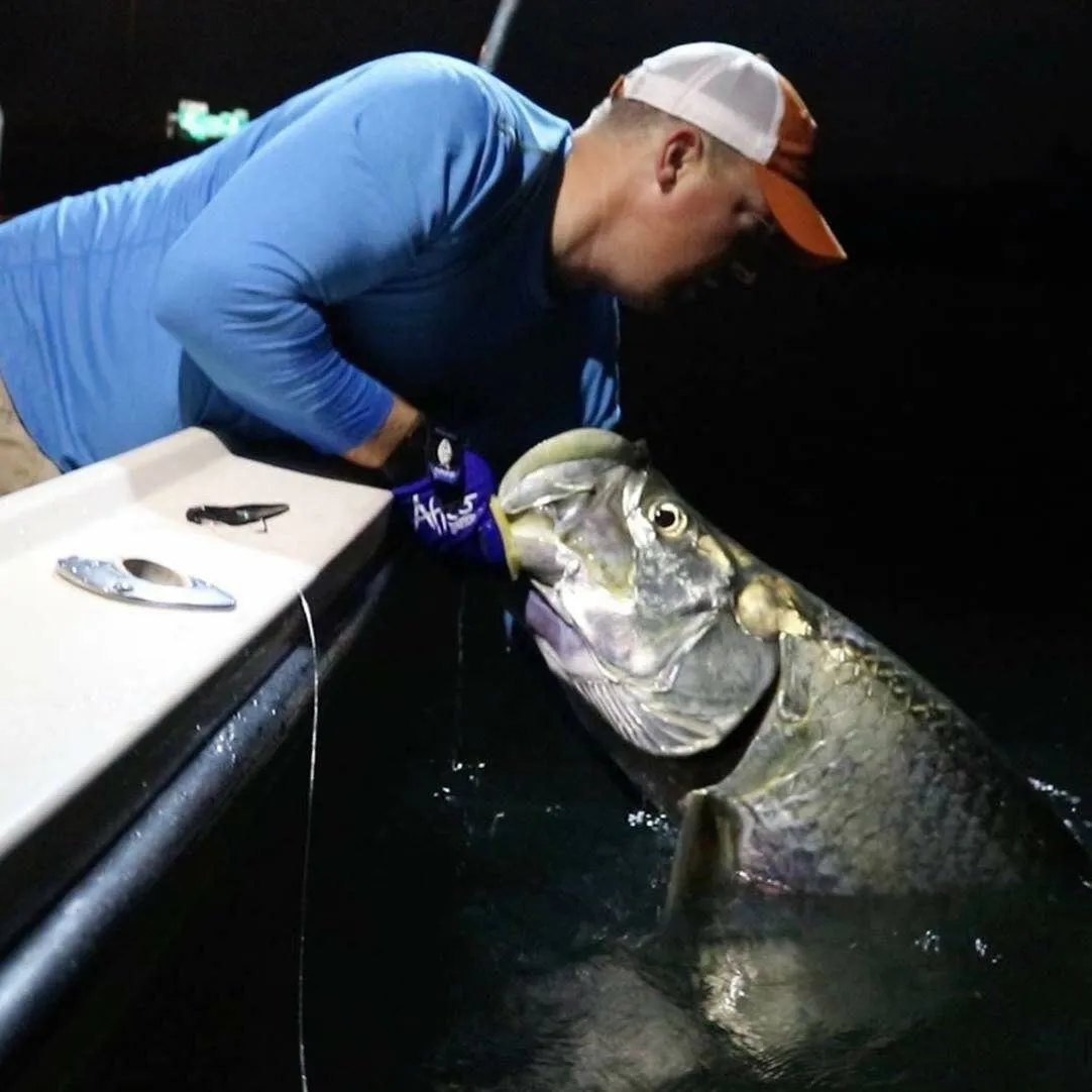 Miami Evening / Tarpon and Snook Fishing Charter