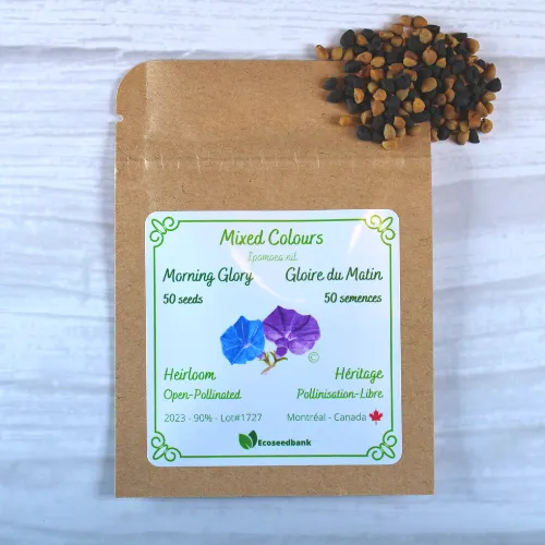 Mixed Colours Morning Glory Seeds