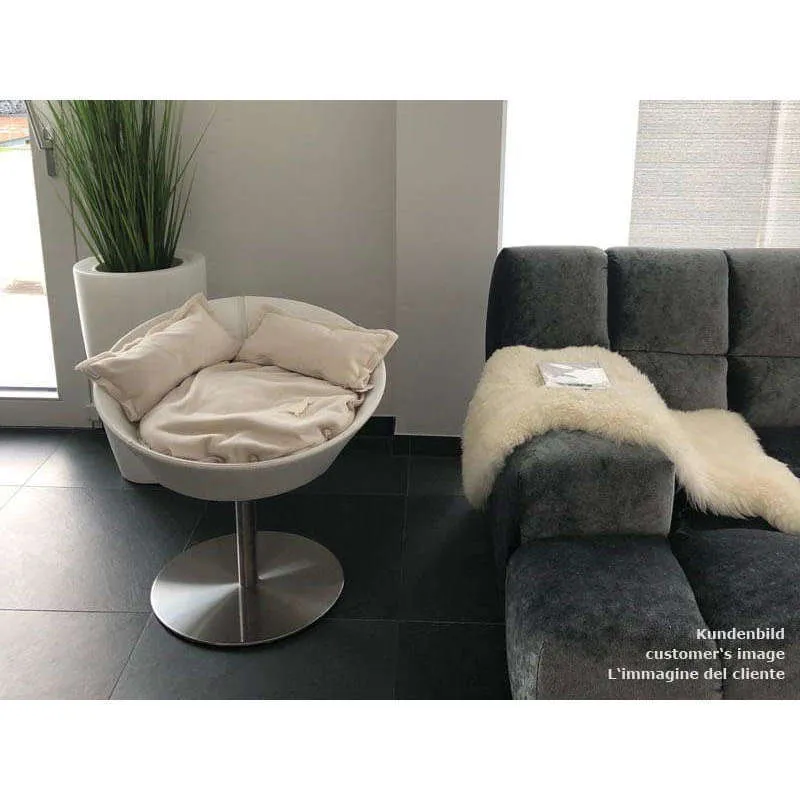 Pet Interiors Cosmo Buffalo Leather Deluxe Cat Bed