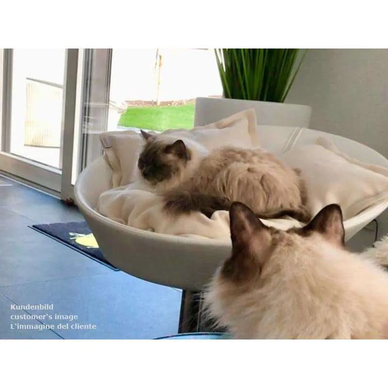 Pet Interiors Cosmo Buffalo Leather Deluxe Cat Bed