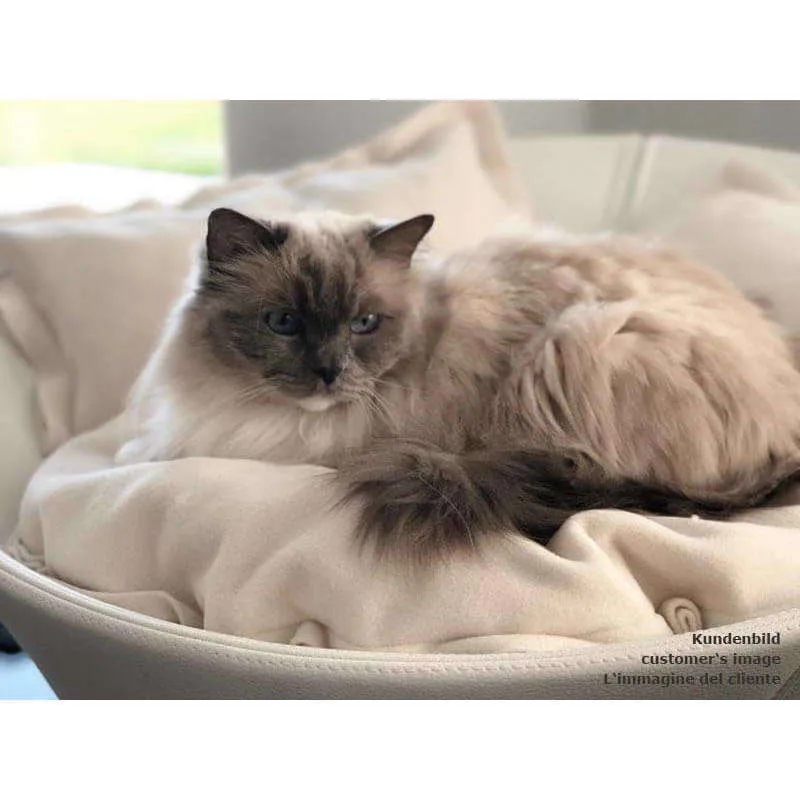 Pet Interiors Cosmo Buffalo Leather Deluxe Cat Bed