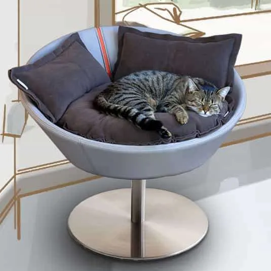 Pet Interiors Cosmo Buffalo Leather Deluxe Cat Bed
