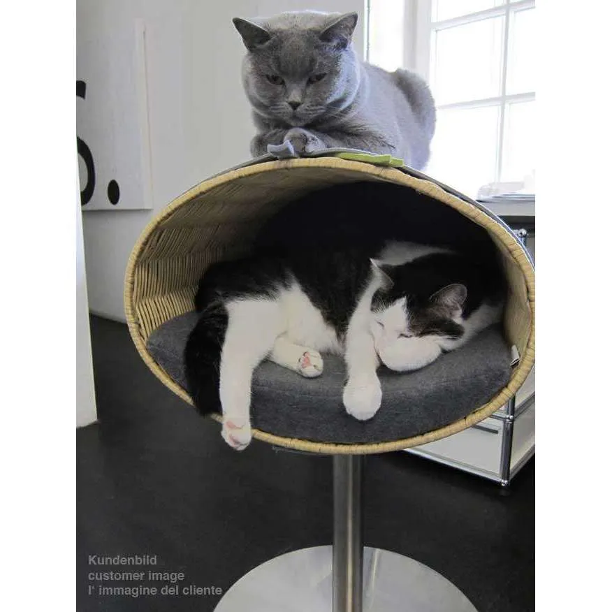 Pet Interiors Rondo Wicker Cat Bed Stand